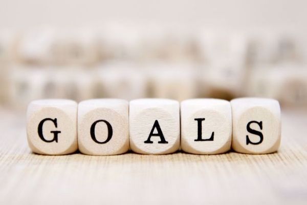 Individual Goal Contract