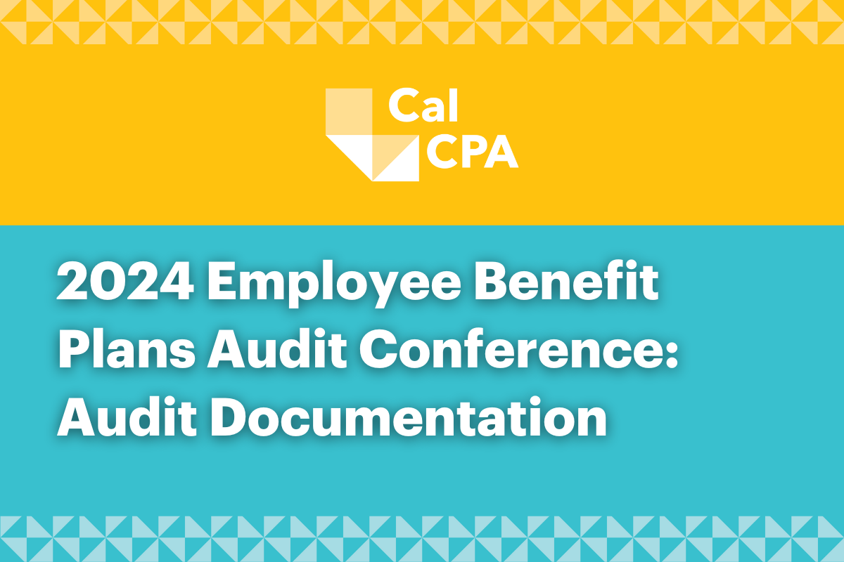 Employee Benefit Plans Audit Documentation 2024-25