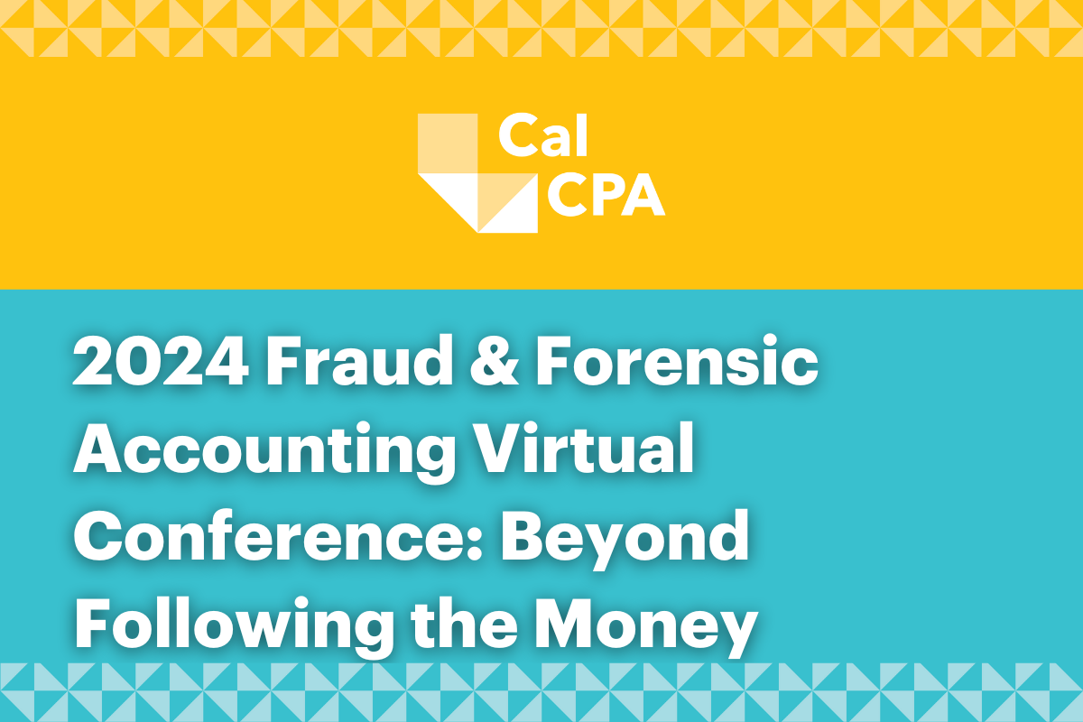 Beyond Following the Money: Use of Intelligence and Asset Searches to Further Investigations 2024-25