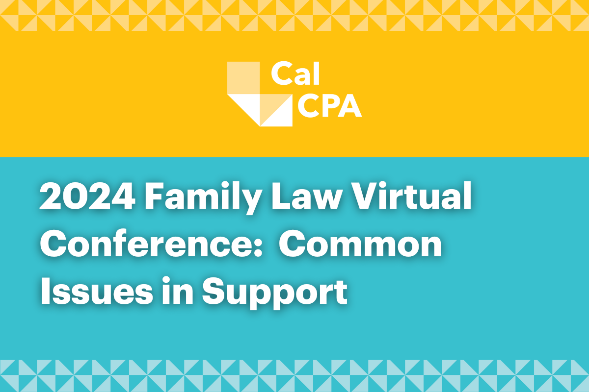 Family Law: Common Issues in Support 2024-25