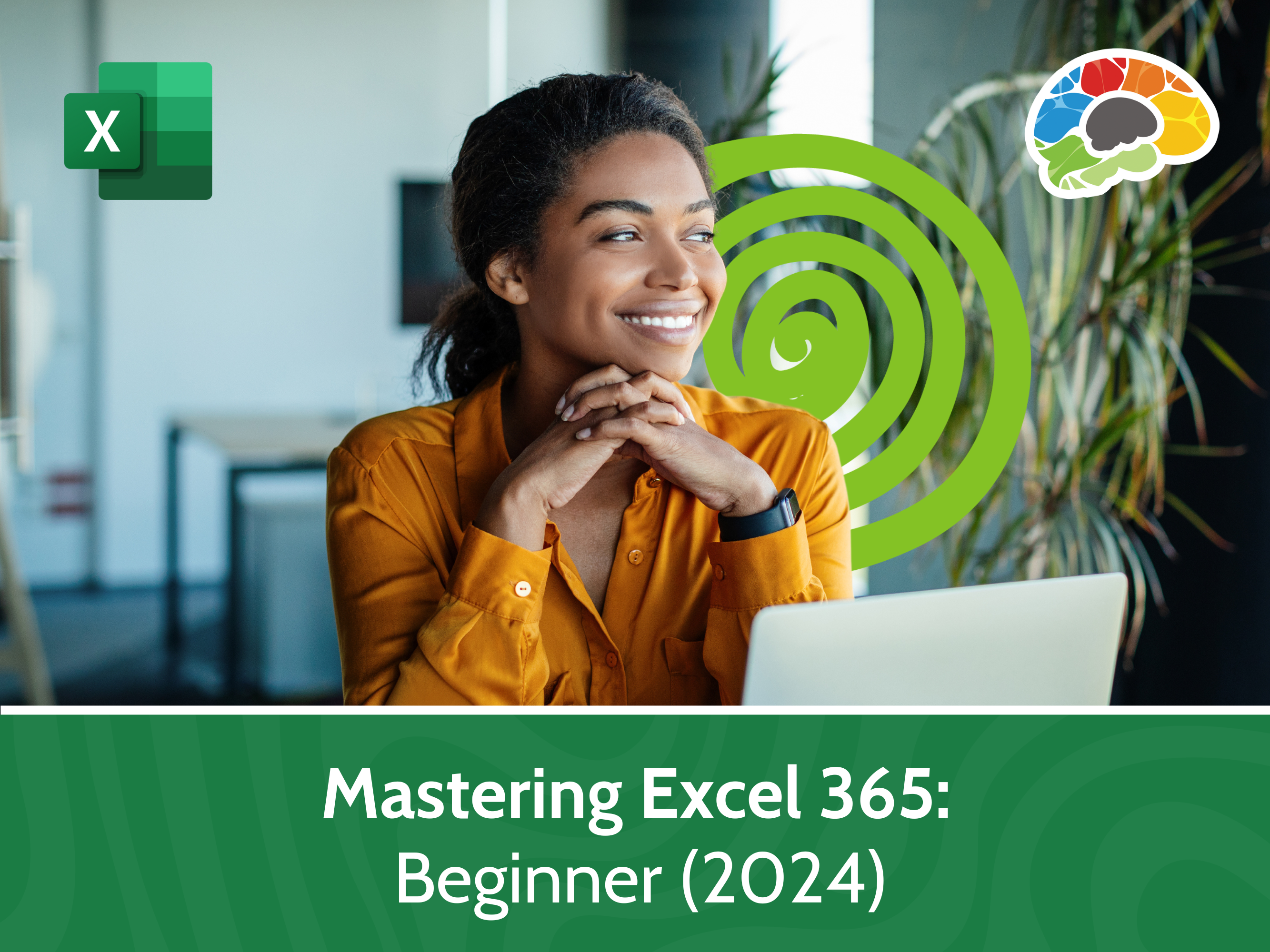 Mastering Excel 365 - Beginner (2024)