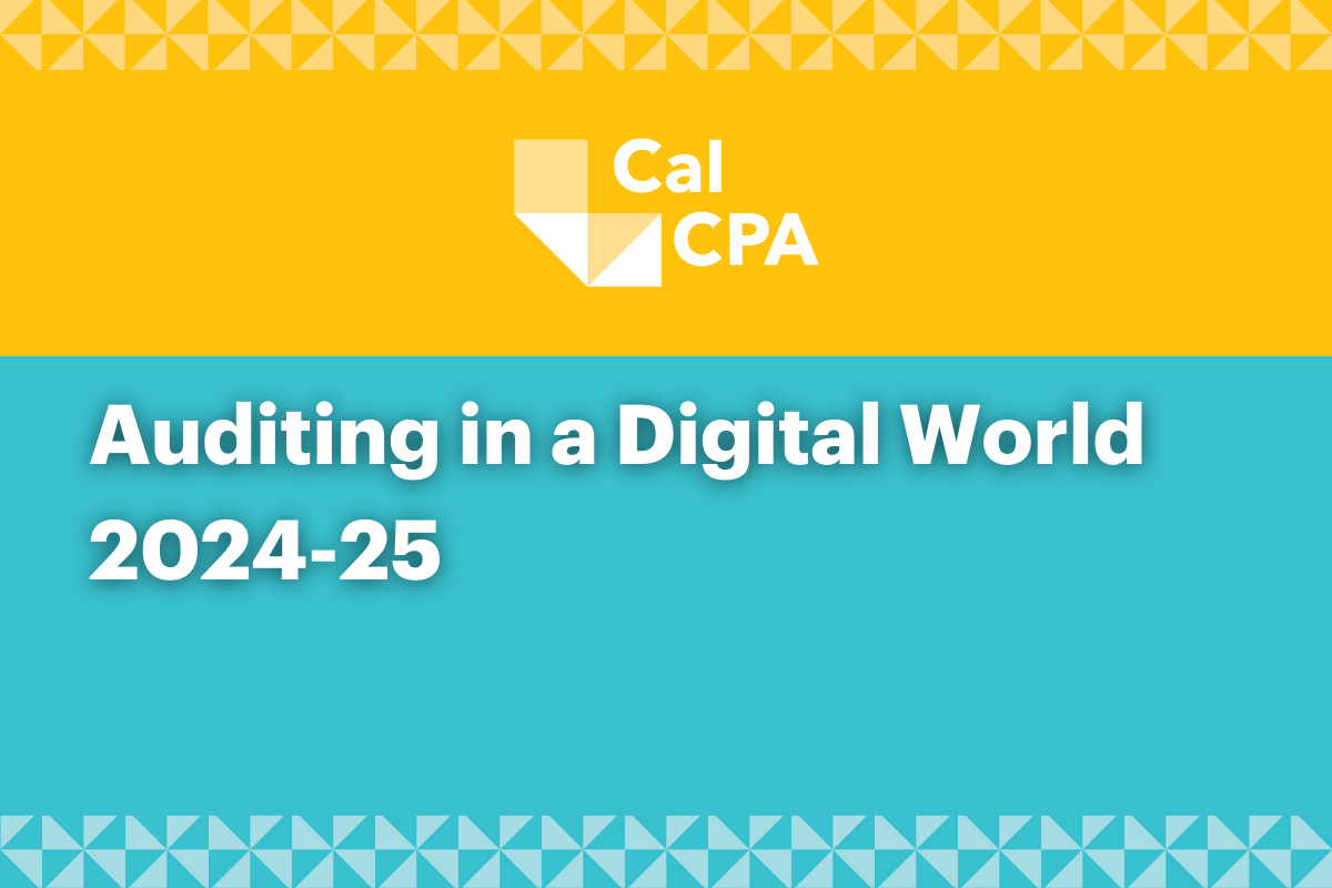 Auditing in a Digital World