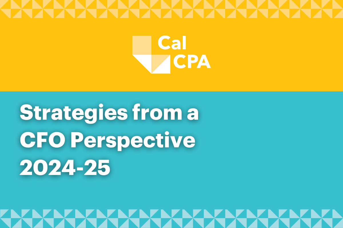 Strategies from a CFO Perspective 2024-25