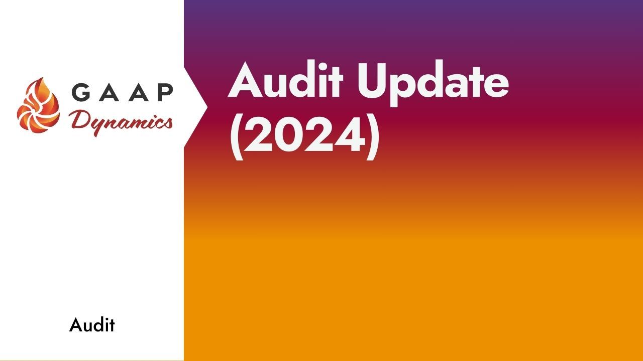 Audit Update (2024)