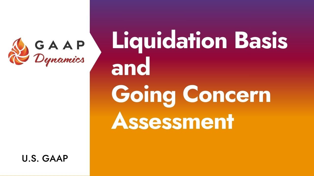 Liquidation Basis and Going Concern Assessment