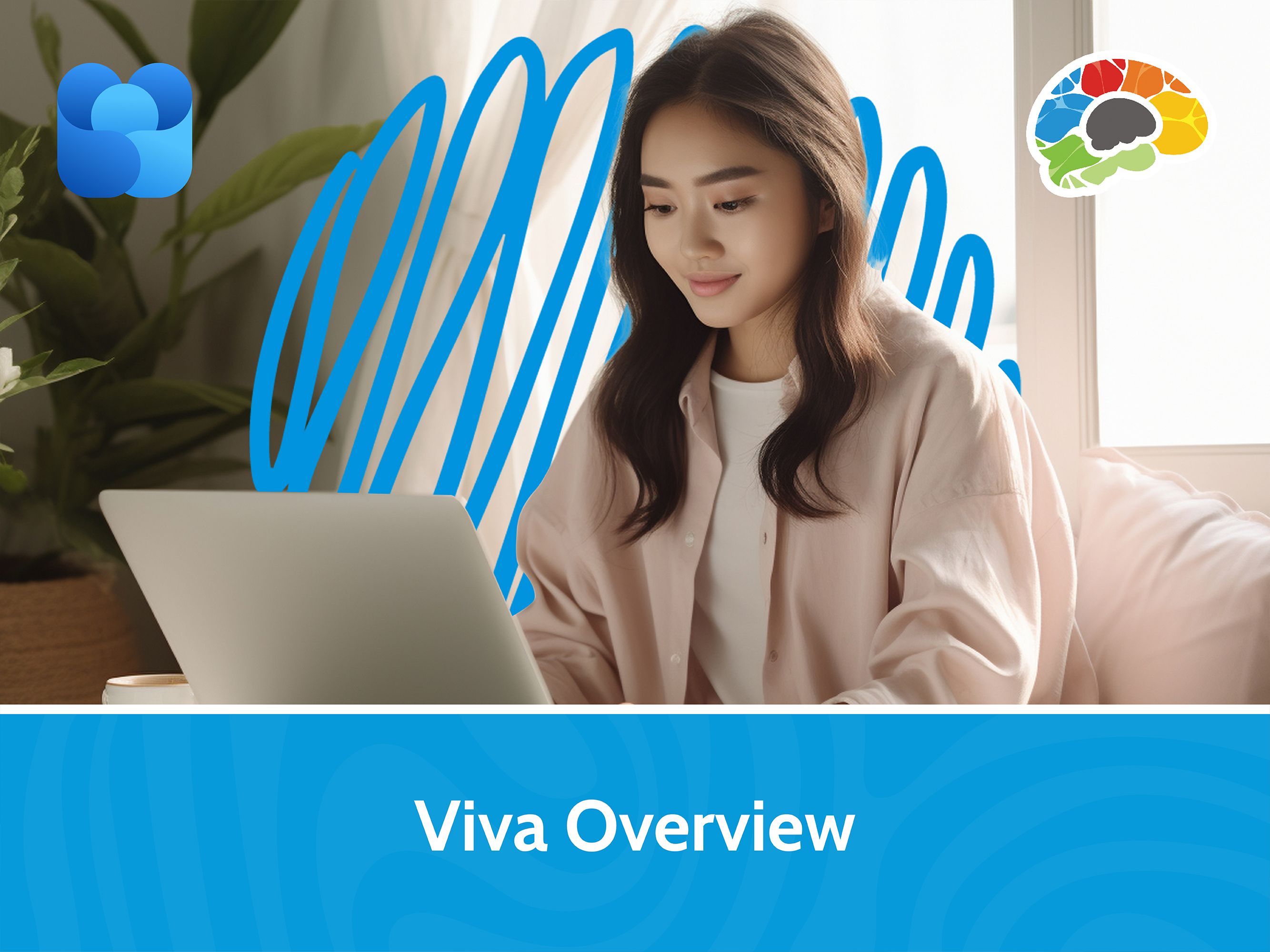 Viva Overview