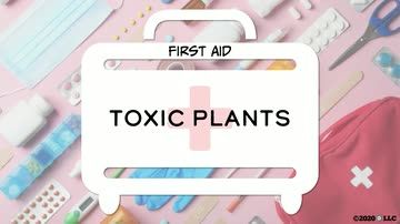 First Aid: Toxic Plants
