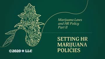Marijuana Laws and HR Policy Part II: Setting Marijuana HR Policies
