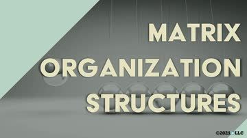 Matrix Organization Structures