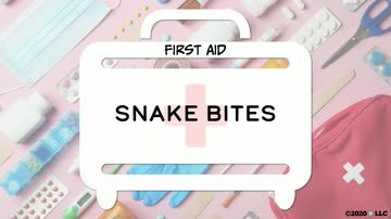 First Aid: Snake Bites