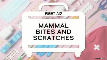 First Aid: Mammal Bites and Scratches