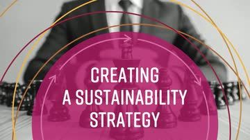 Sustainability Basics: Creating a Sustainability Strategy
