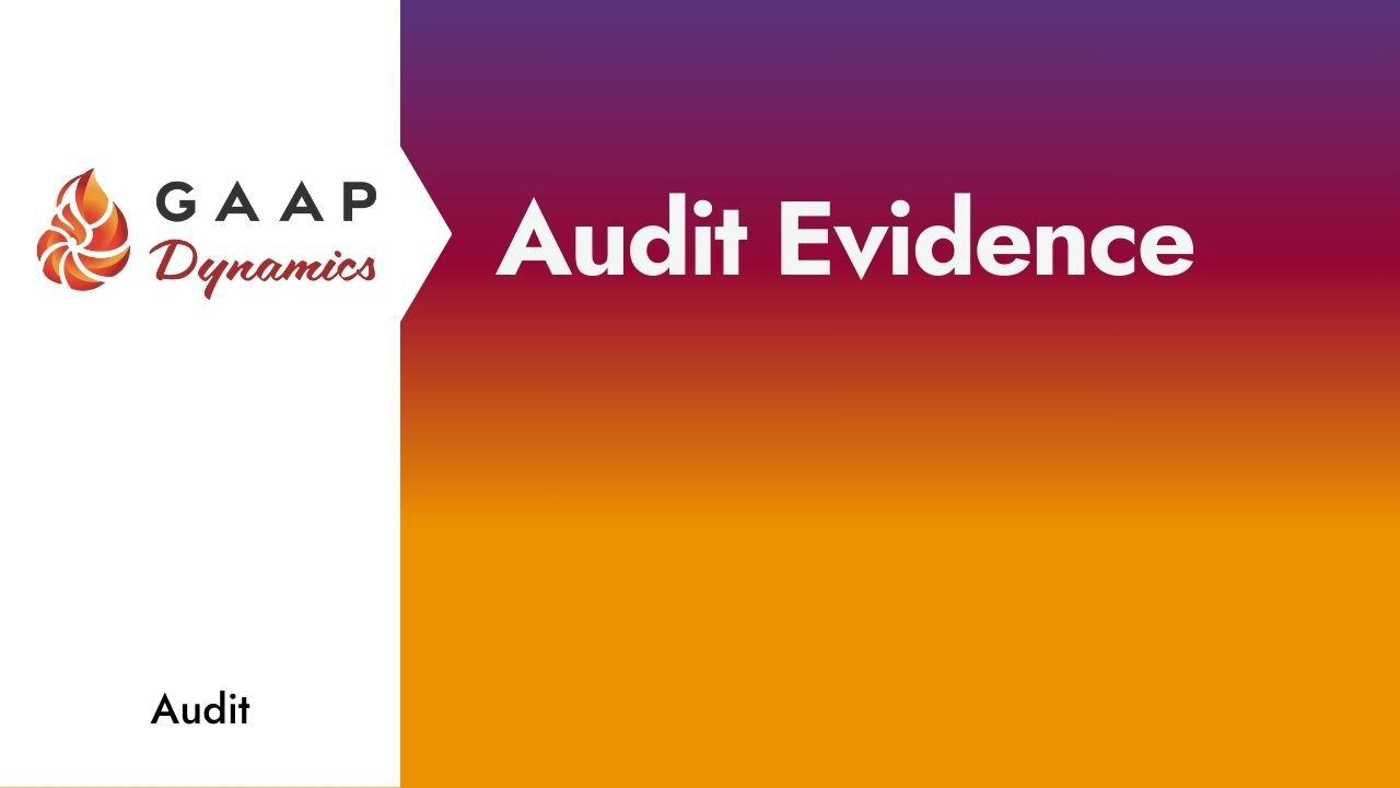 Audit Evidence